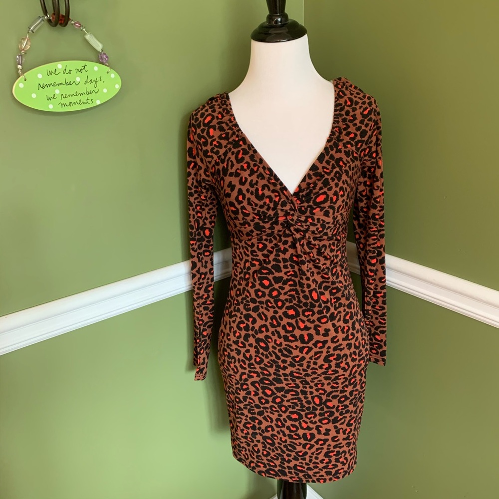 Shophopes leopard print fall longsleeve dress